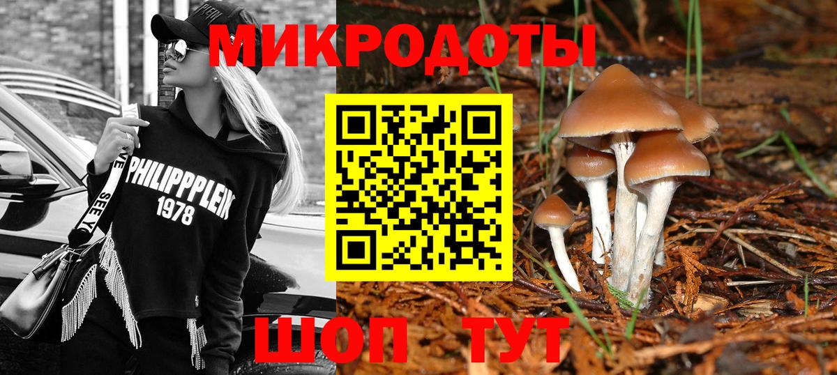 где найти наркотики  Псилоцибиновые грибы мухоморы  Вход с VPN  Видное 